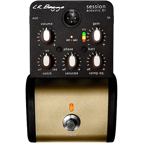 L.R BAGGS Session DI with analog saturation and multiband compression/EQ