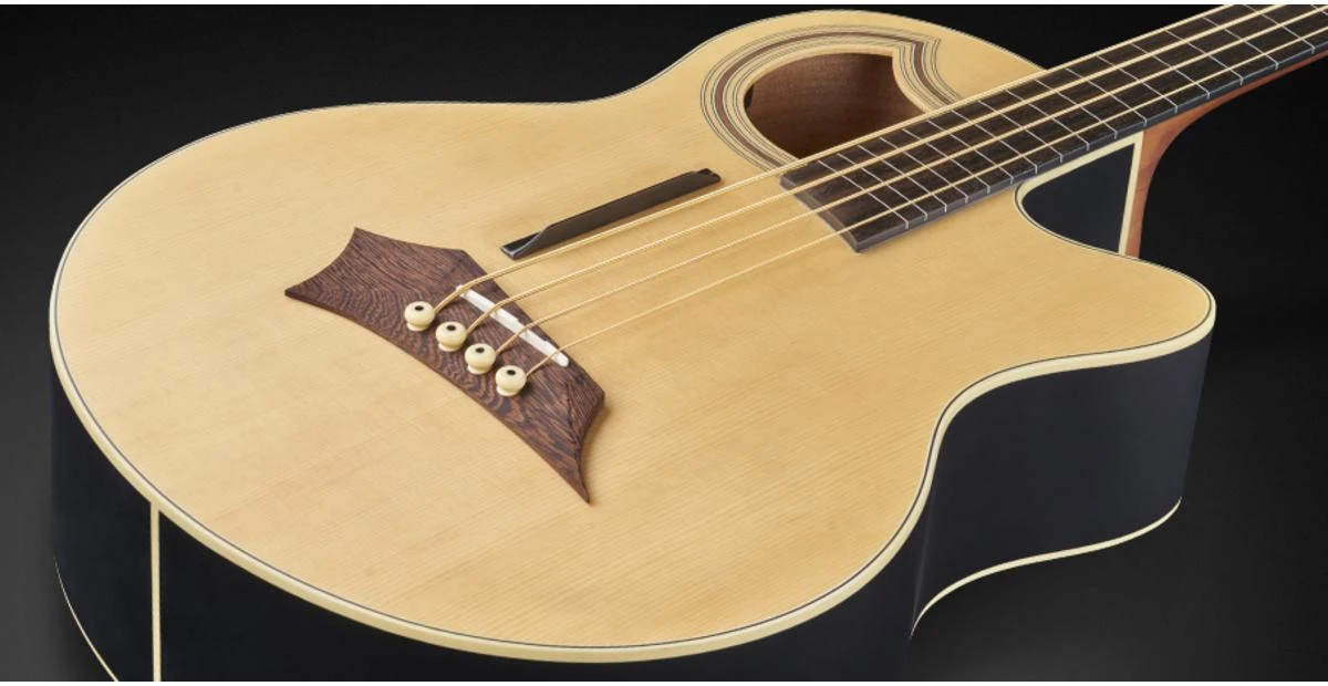 גיטרה בס אקוסטית 4 פרטלס עם סימונים + נרתיק WARWICK ALIEN STANDARD