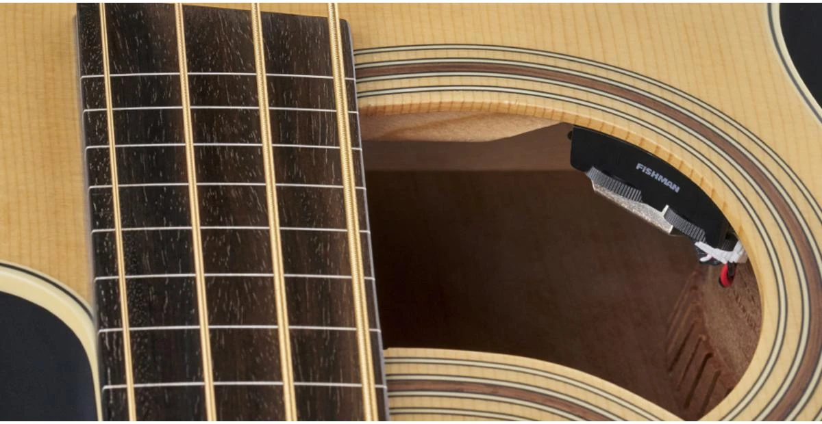 גיטרה בס אקוסטית 4 פרטלס עם סימונים + נרתיק WARWICK ALIEN STANDARD