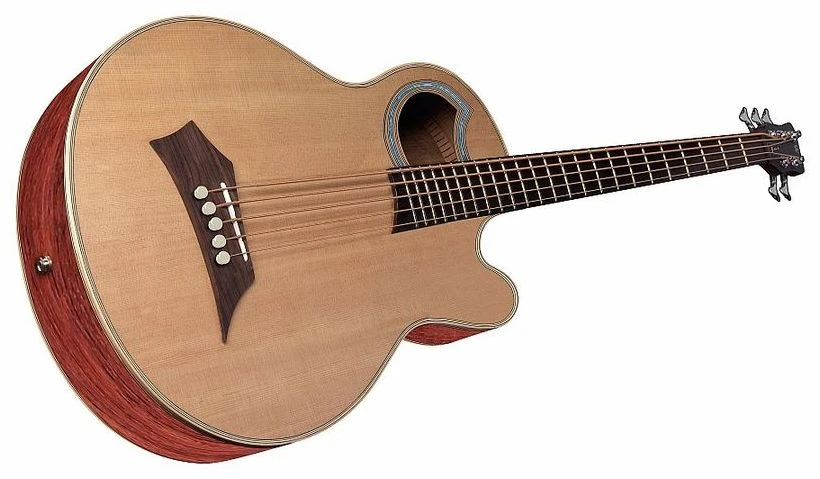 גיטרה בס אקוסטית 5 מיתרים WARWICK ALIEN DELUXE