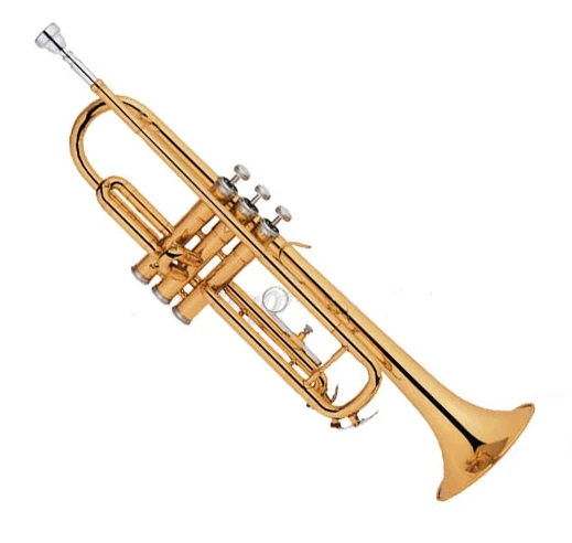 חצוצרה Lexington TP8001G Golden Lacquered, brass body