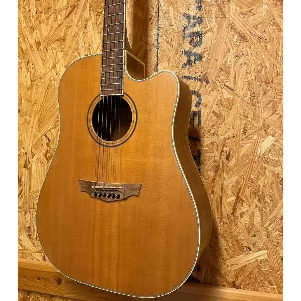 גיטרה אקוסטית מוגברת PAKWOOD PW370 במבצע!