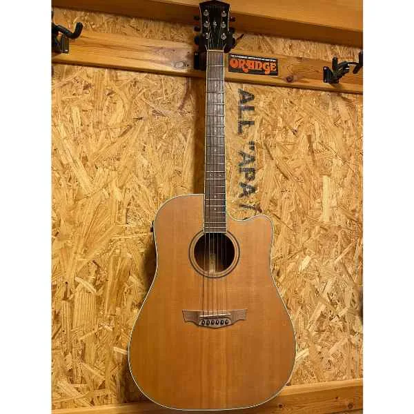 גיטרה אקוסטית מוגברת PAKWOOD PW370 במבצע!