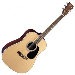 גיטרה אקוסטית +ארגז MARTIN D35