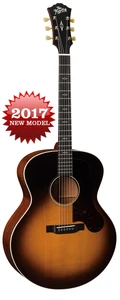 גיטרה אקוסטית +ארגז MARTIN CEO 8.2