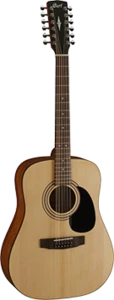 גיטרה אקוסטית 12 מיתרים CORT AD810-12