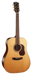 גיטרה אקוסטית כולל נרתיק CORT GOLD D6 NAT