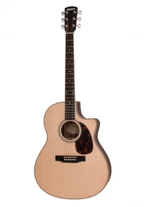 גיטרה אקוסטית מוגברת + ארגז קשיח LARRIVEE LV-03RE CU