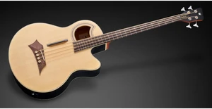 גיטרה בס אקוסטית 4 פרטלס עם סימונים + נרתיק WARWICK ALIEN STANDARD