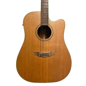 גיטרה אקוסטית מוגברת PAKWOOD PW370 במבצע!